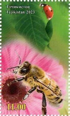 Flower and Bee