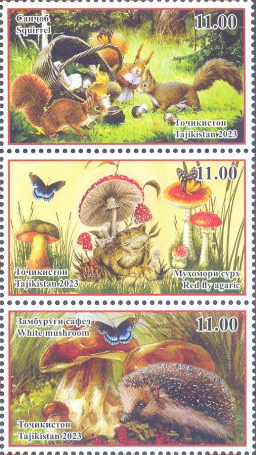 Mushrooms and Fauna