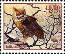 Owls of Tajikistan