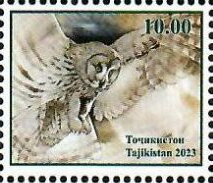Owls of Tajikistan