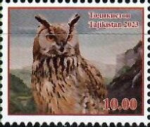 Owls of Tajikistan