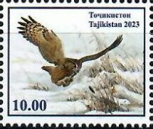 Owls of Tajikistan