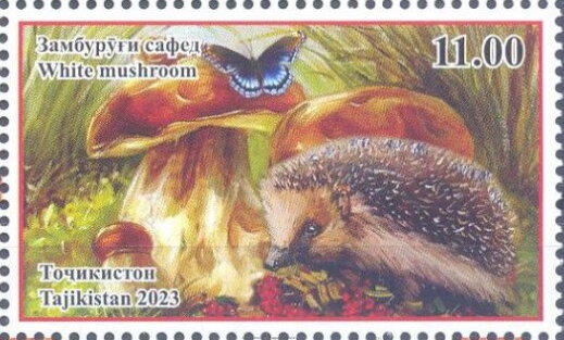 White Mushroom (Agaricus bisporus) and Hedgehog