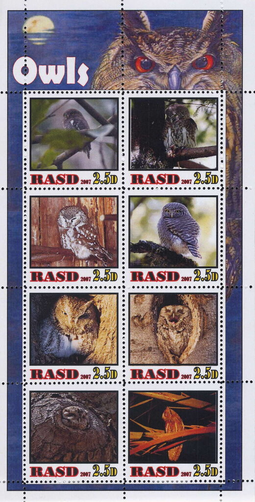 Owls