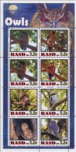 Mini Sheet, Owls, Western Sahara,  , Animals (Fauna), Birds, Birds of Prey, Owls