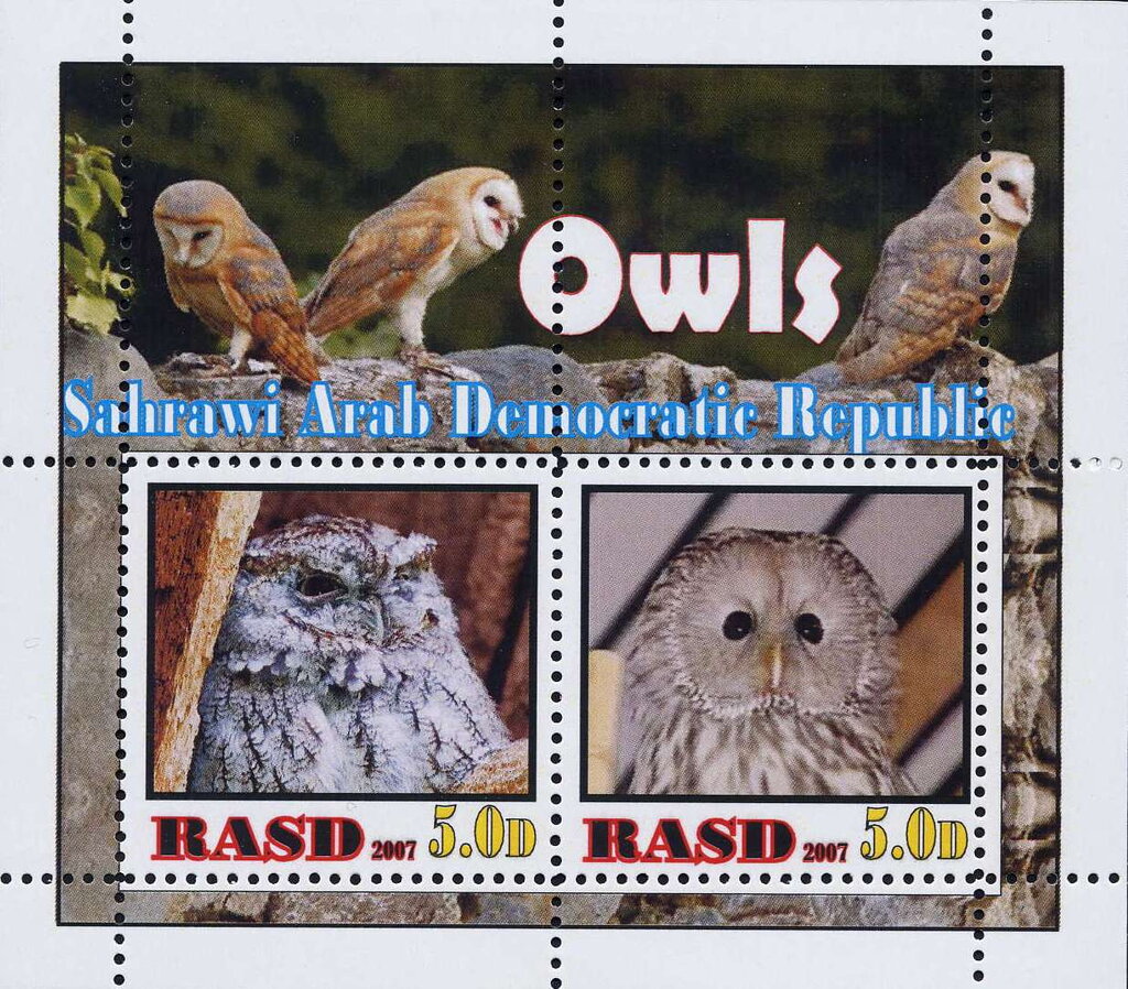 Owls