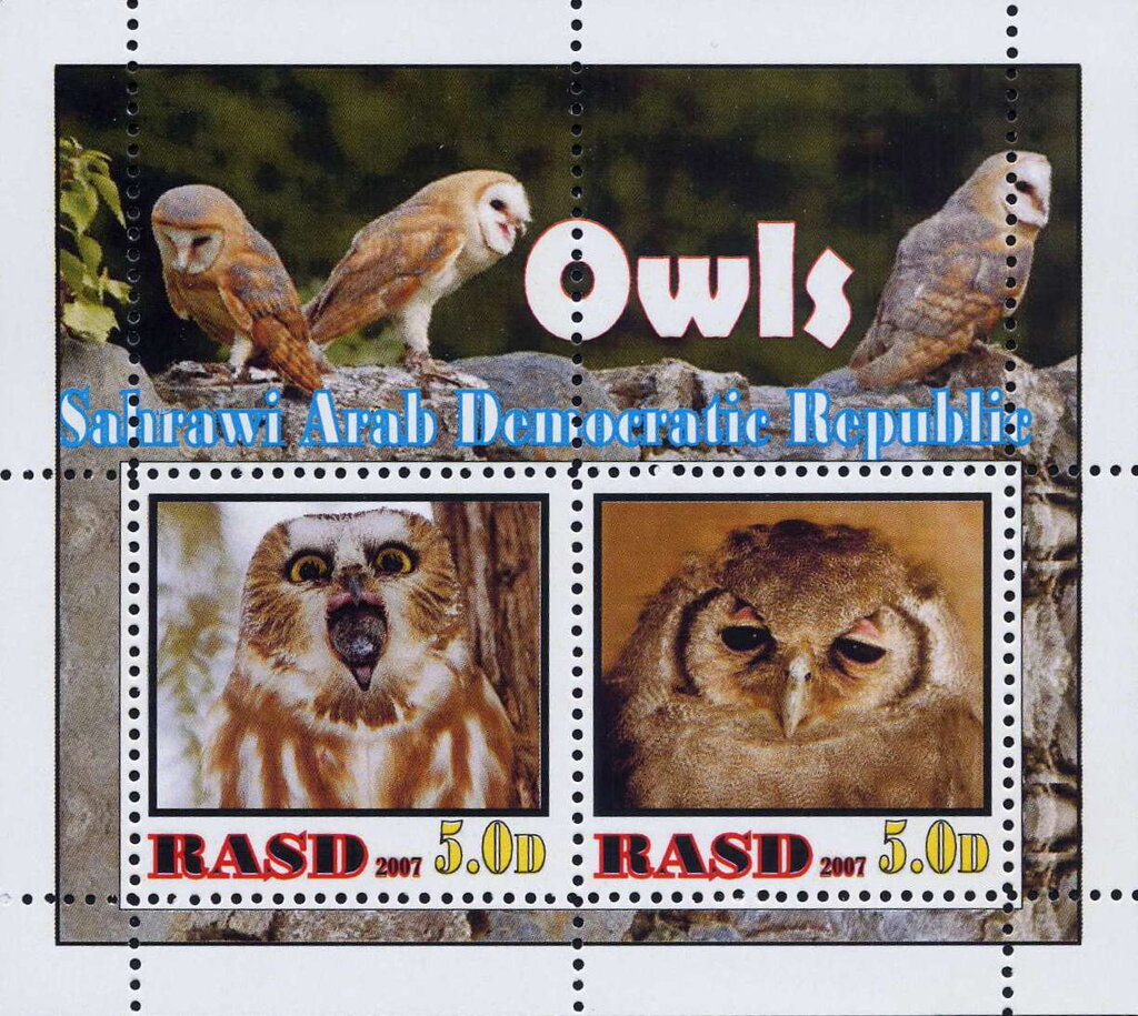 Owls