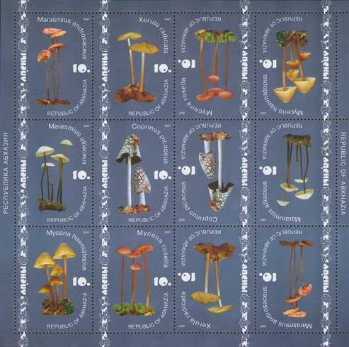 Mushrooms (1st Issue)