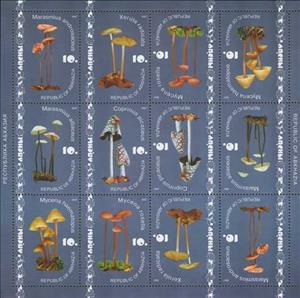 Mini Sheet, Mushrooms (1st Issue), Abkhazia,  , Mushrooms