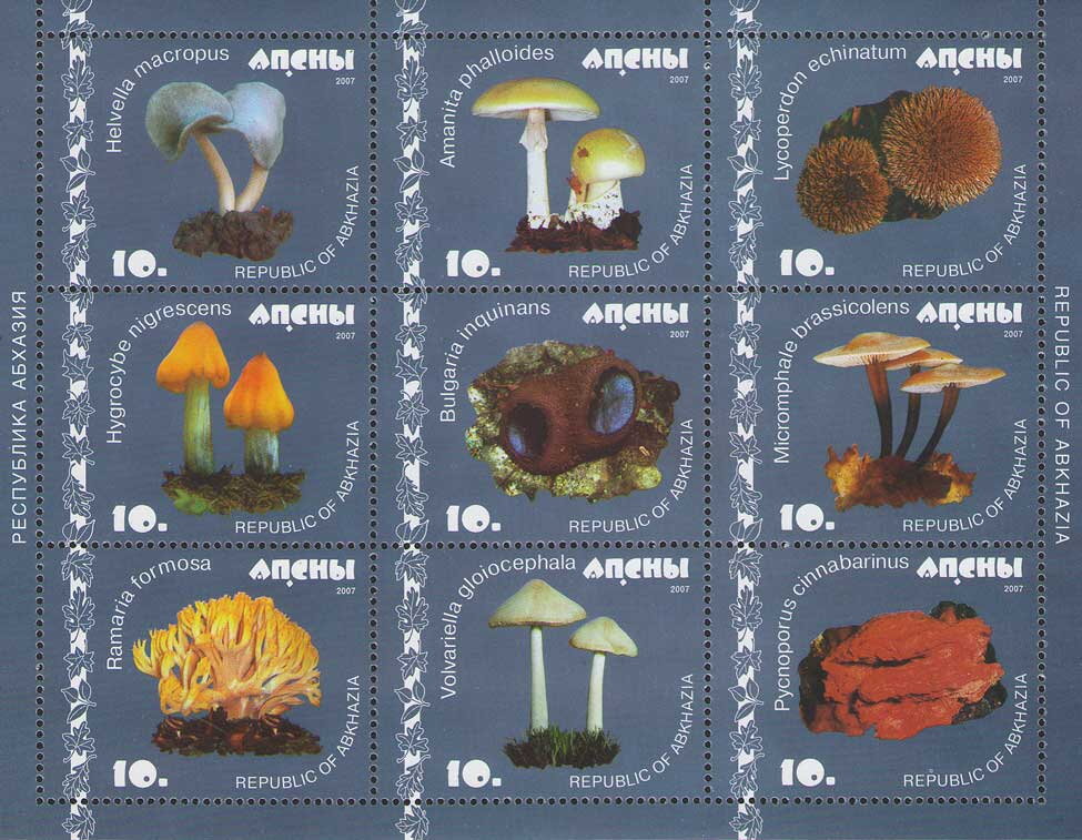 Mushrooms (2nd Issue)