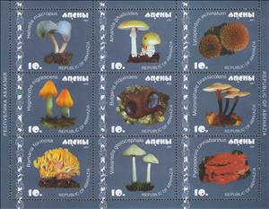 Mini Sheet, Mushrooms (2nd Issue), Abkhazia,  , Mushrooms