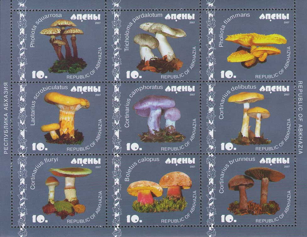 Mushrooms (2nd Issue)