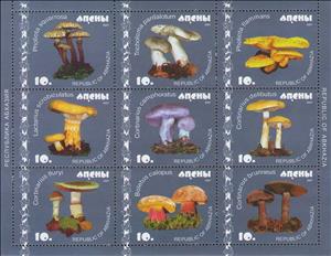 Mini Sheet, Mushrooms (2nd Issue), Abkhazia,  , Mushrooms