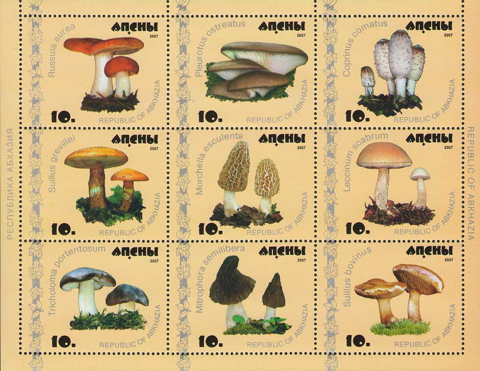 Mushrooms (2nd Issue)