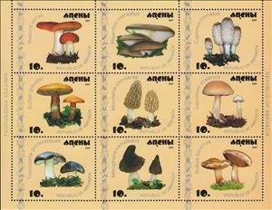 Mini Sheet, Mushrooms (2nd Issue), Abkhazia,  , Mushrooms