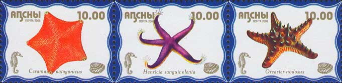 Sea Life (2nd Issue)