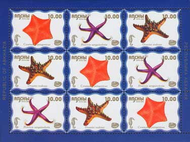 Sea Life (2nd Issue)