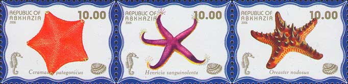 Sea Life (2nd Issue)