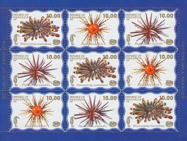 Sea Life (3rd Issue)