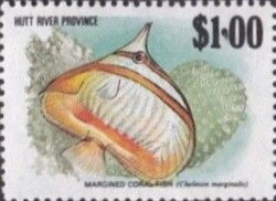 Coral Fish, Margined Coral Fish