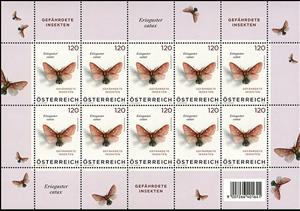Full Pane, Eriogaster catax, by Alexandra Kontriner, Austria,  , Animals (Fauna), Butterflies, Drawings, Insects