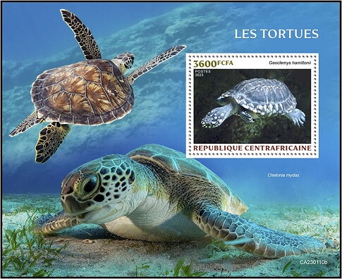 Geoclemys hamiltonii