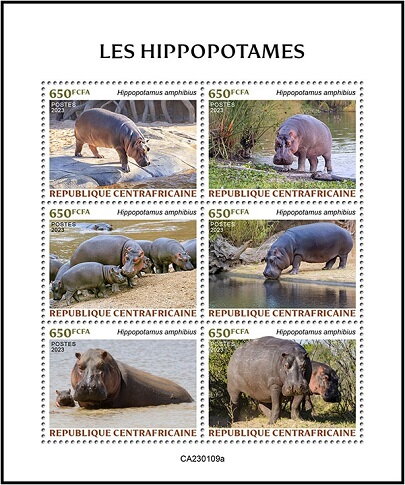 Hippopotamus
