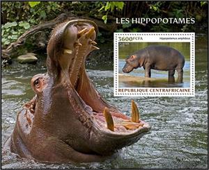 Souvenir Sheet, Hippopotamus amphibius, Central African Republic,  , Animals (Fauna), Hippopotamuses, Mammals