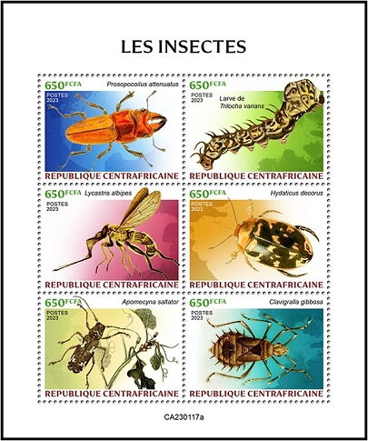 Insects