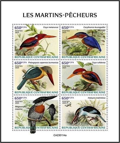 Kingfishers