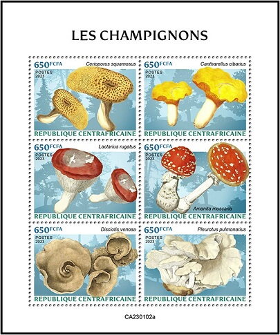 Mushrooms