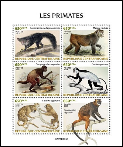 Primates