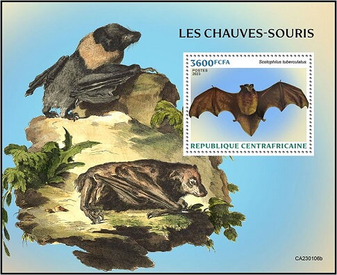 Scotophilus tuberculatus