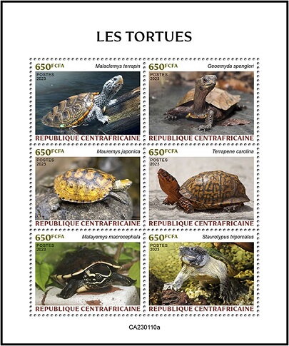Turtles