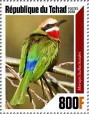 Bee Eaters