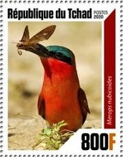 Bee Eaters