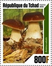 Mushrooms