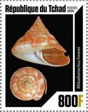 Stamp, Shells, Chad,  , Animals (Fauna), Sea Life, Shells