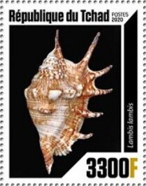 Stamp, Shells, Chad,  , Animals (Fauna), Sea Life, Shells