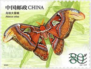 Stamp, Atlas Moth (Attacus atlas), China, People's Republic,  , Animals (Fauna), Butterflies, Insects