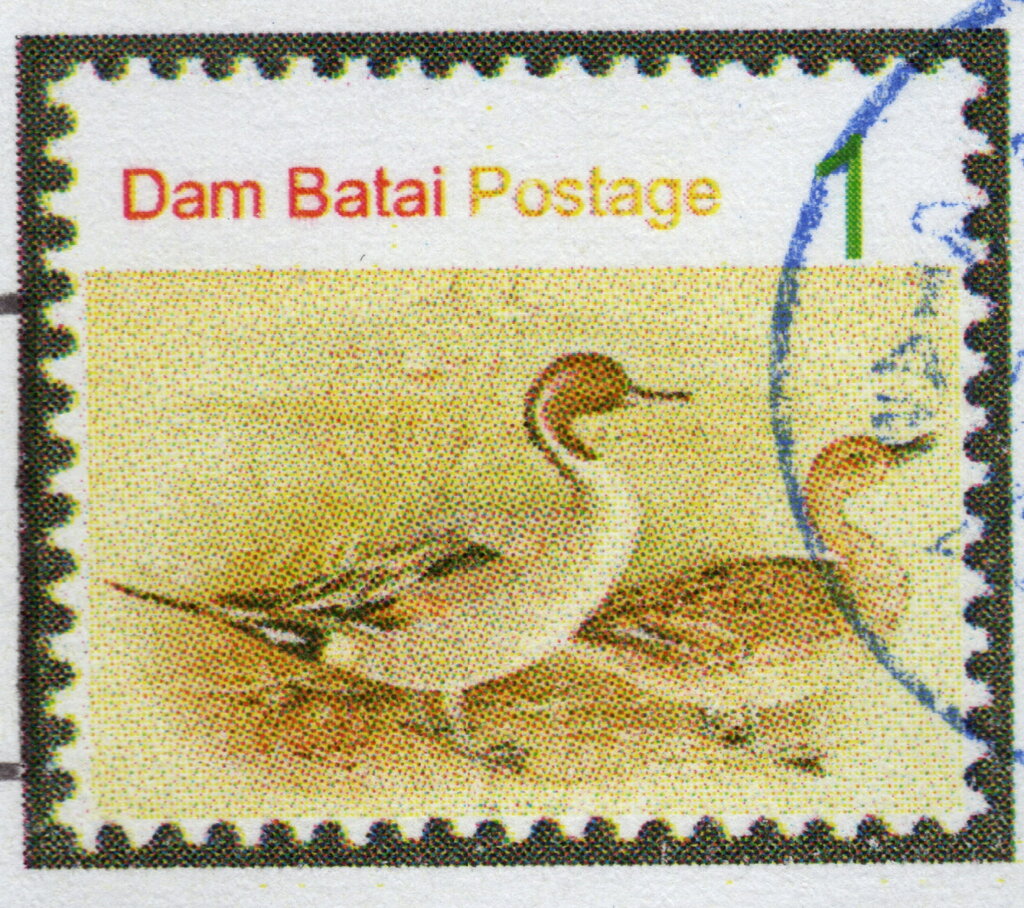 Ducks