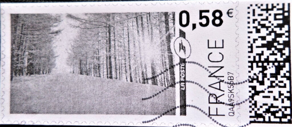 Forest Ride in the Snow in black