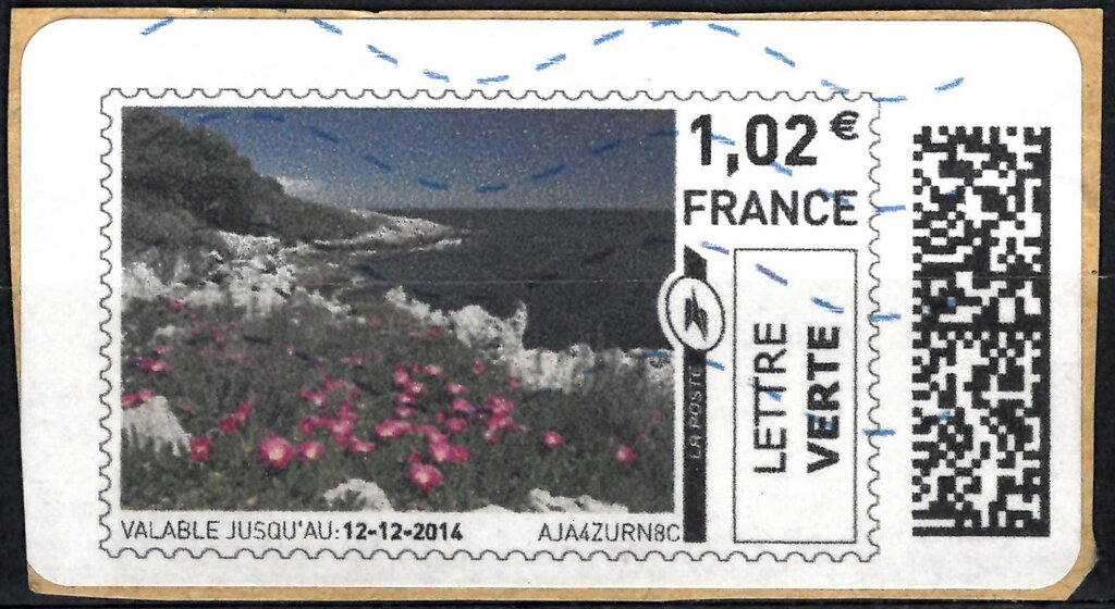 Pink Flowers on a cliff