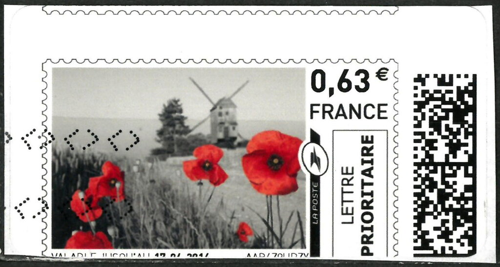 Poppies