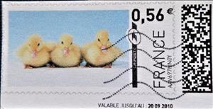 Stamp, Three Ducklings, France,  , Animals (Fauna), Birds, Ducks, Infant Animals