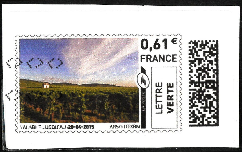 Vineyard