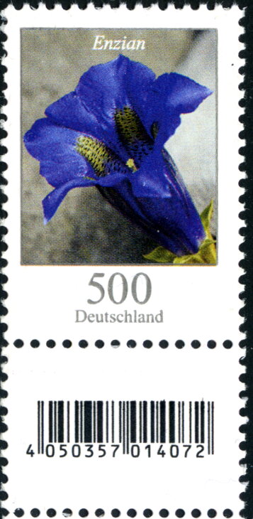 Stemless Gentian (Gentiana acaulis)