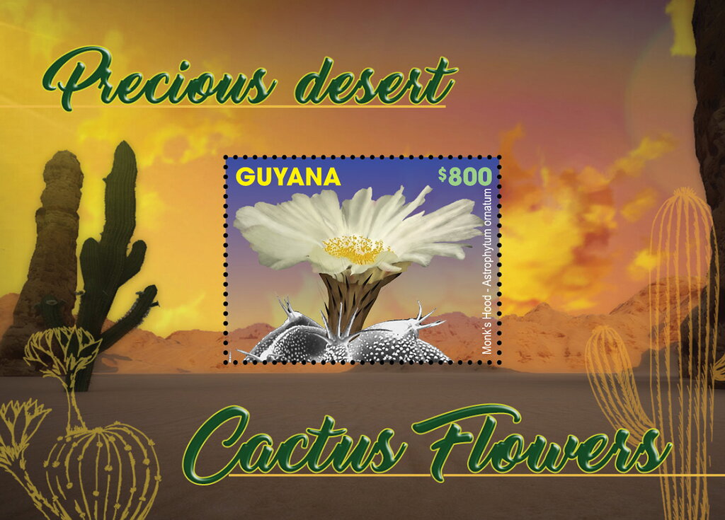Precious Desert Cactus Flowers