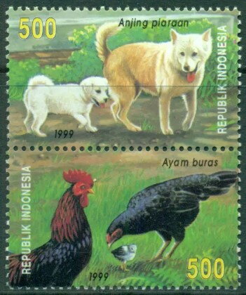 Domestic animals