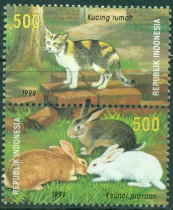 Domestic animals